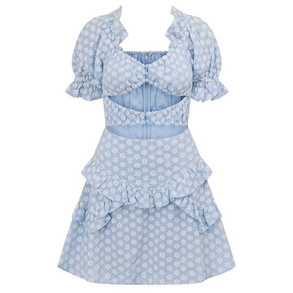 Sabo Luxe Light Blue Jaycee Mini Dress SZ 6 Embroidered Cottagecore Feminine NWT - Picture 6 of 10